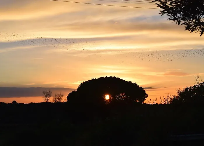 Kolymbetra 3* Agrigento