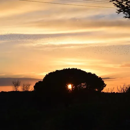 Kolymbetra 3* Агридженто